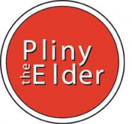 Russian River's Pliny the Elder - Extract Beer Kit